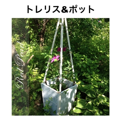 クレマチスさん専用 22-734 シルク待針＜耐熱 細＞ Clover(クロバー) 長さ35mm太さ